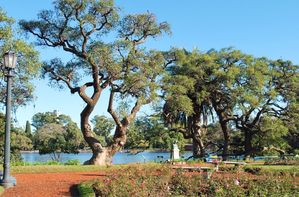 Rose Garden Buenos Aires