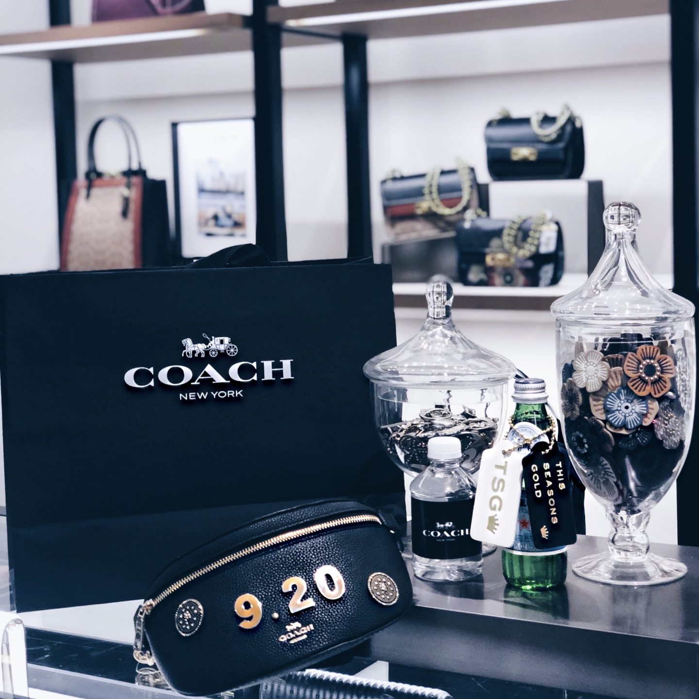 COACH Handbag event