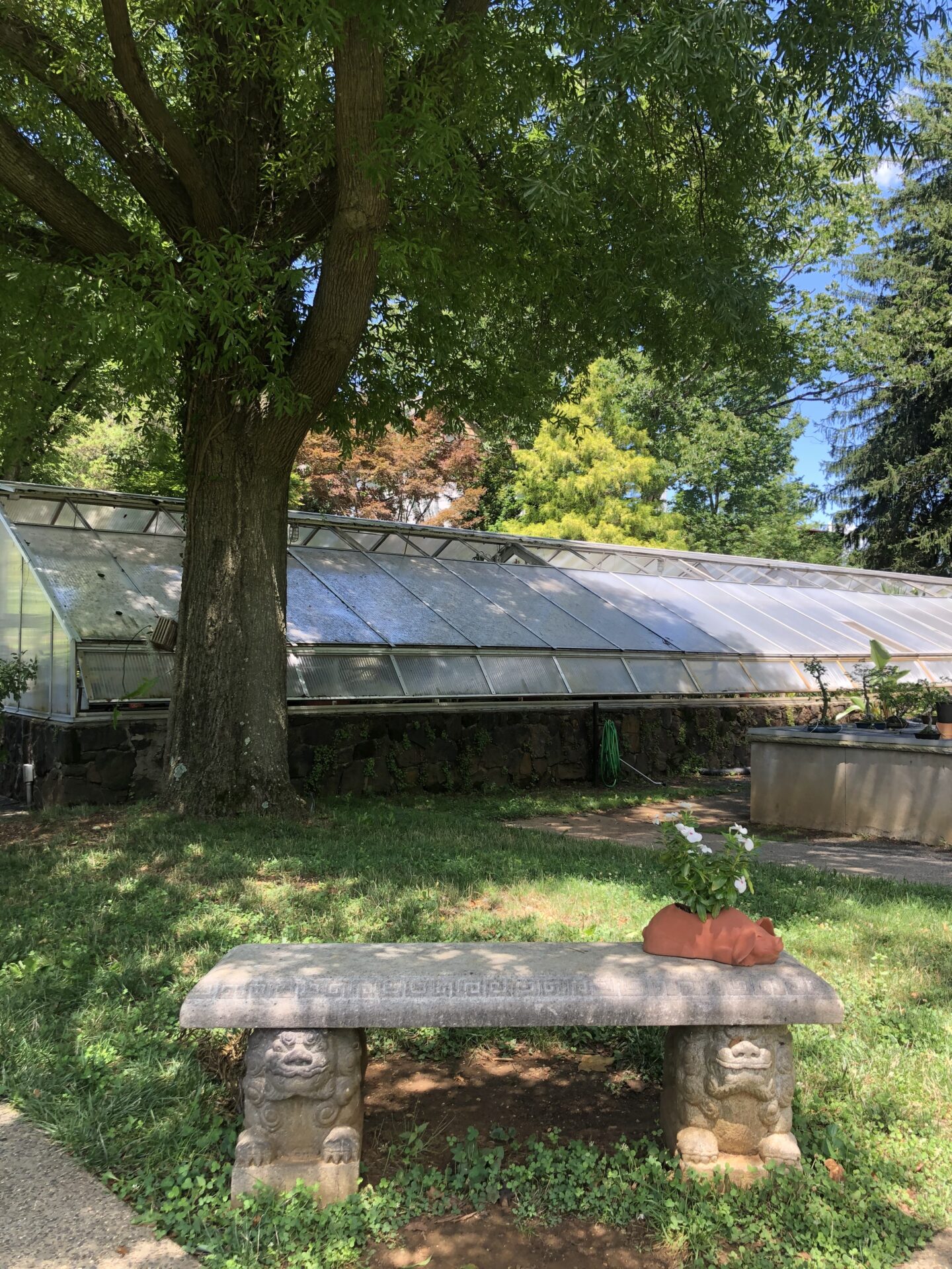 garden bench