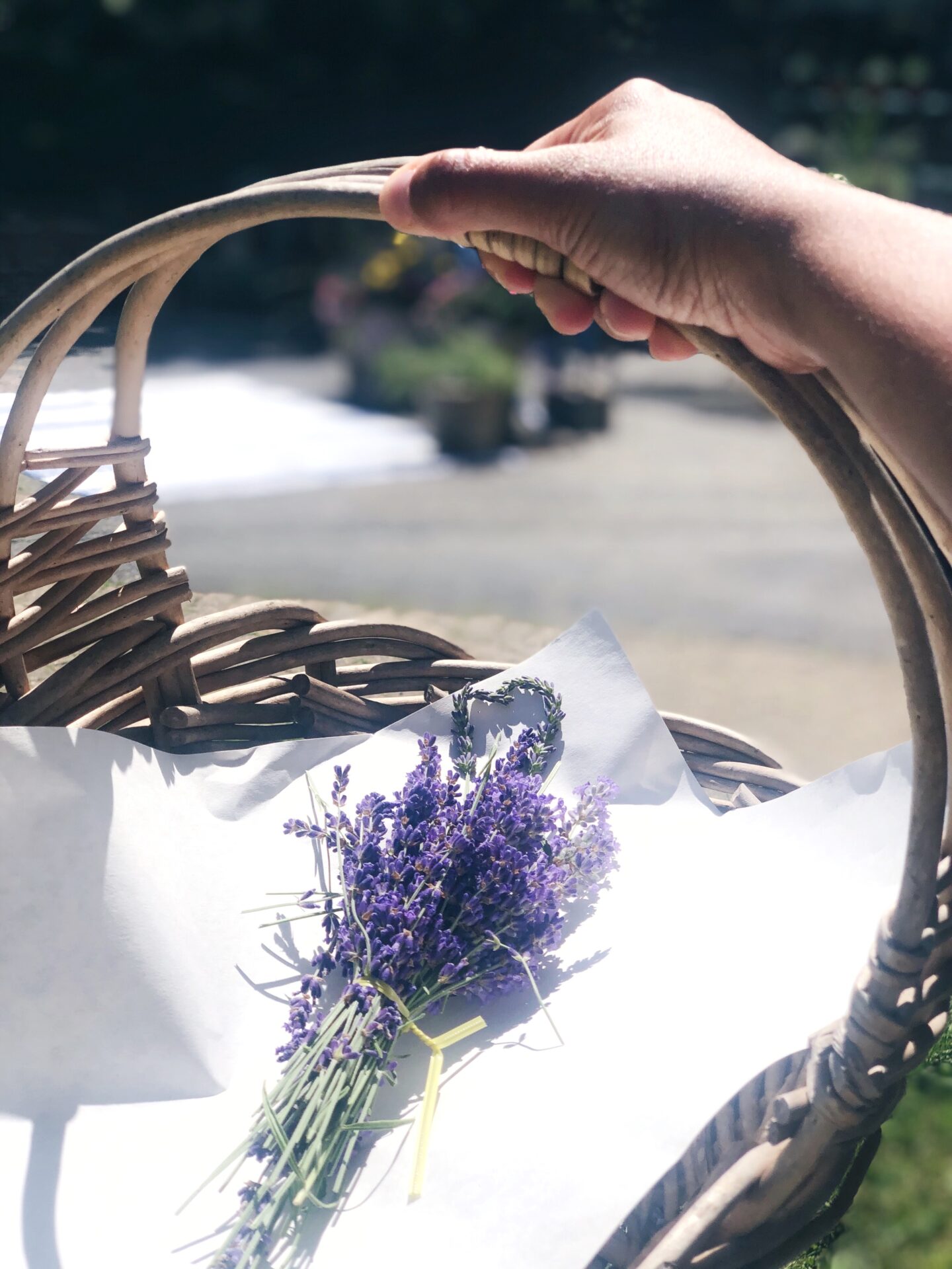 Basket of lavender