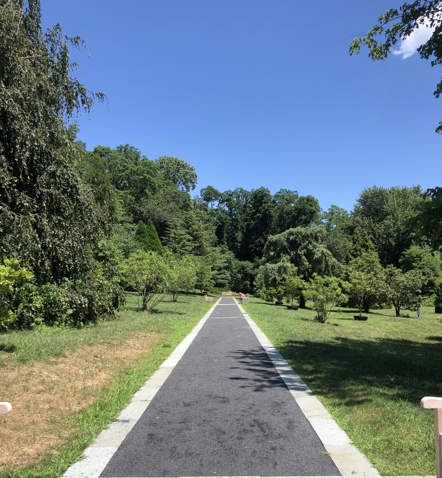 long path in garden