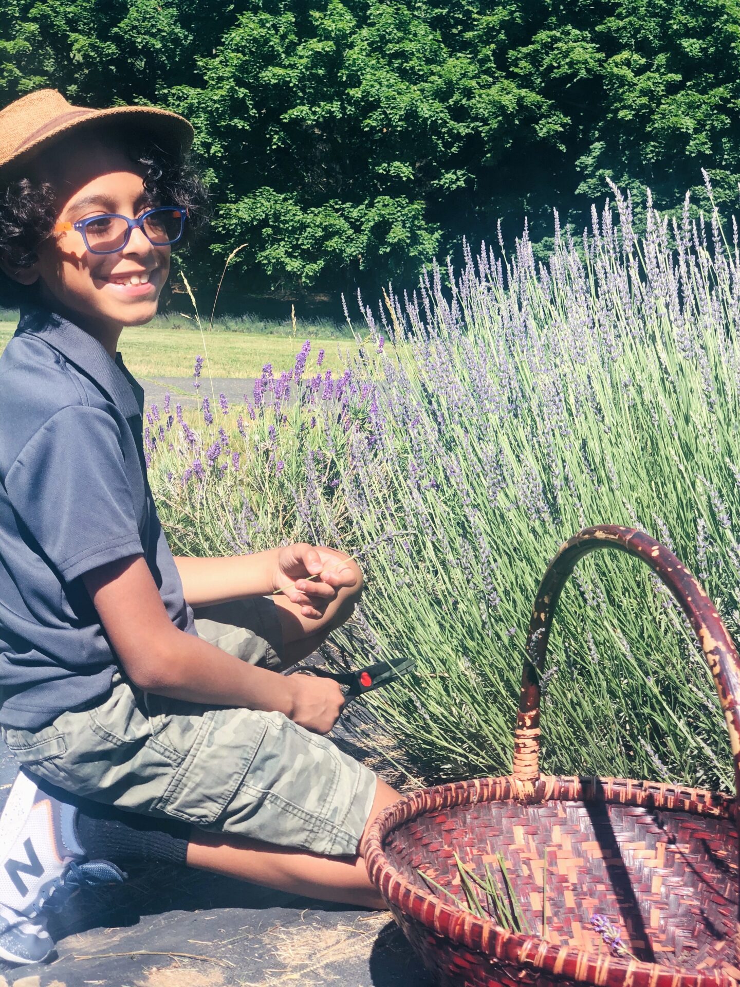 boy in a lavender field