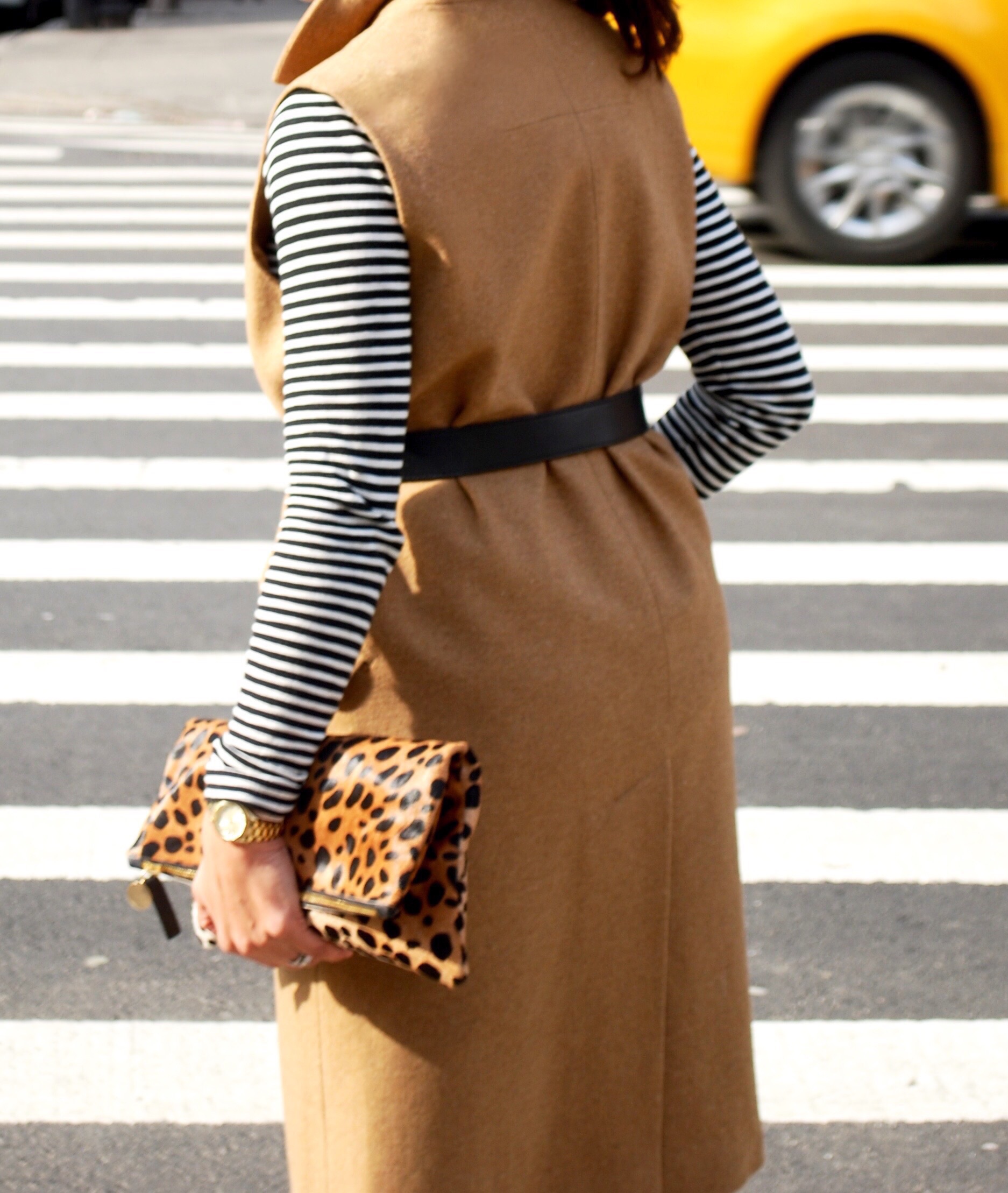 Camel and stripes