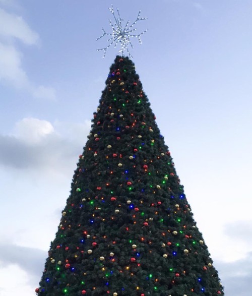 Town Christmas tree