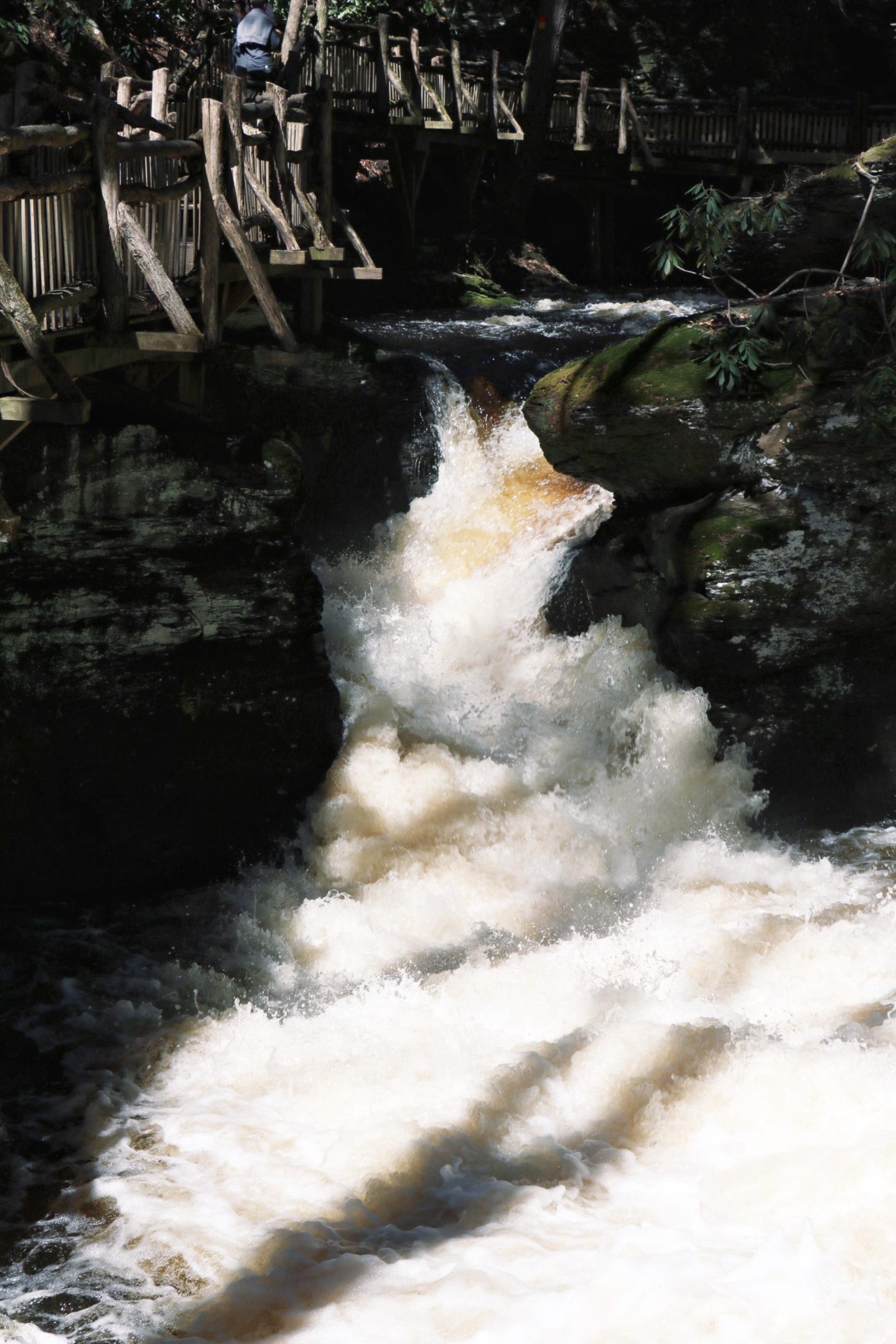 day trip to bushkill falls